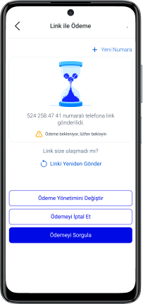 Özel bağlantı, Link ile ödeme